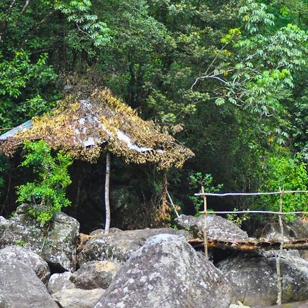 Bed and Breakfast Jungle Tree House Rangala Канди Экстерьер фото