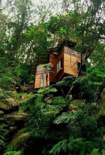 Bed and Breakfast Jungle Tree House Rangala Канди Экстерьер фото