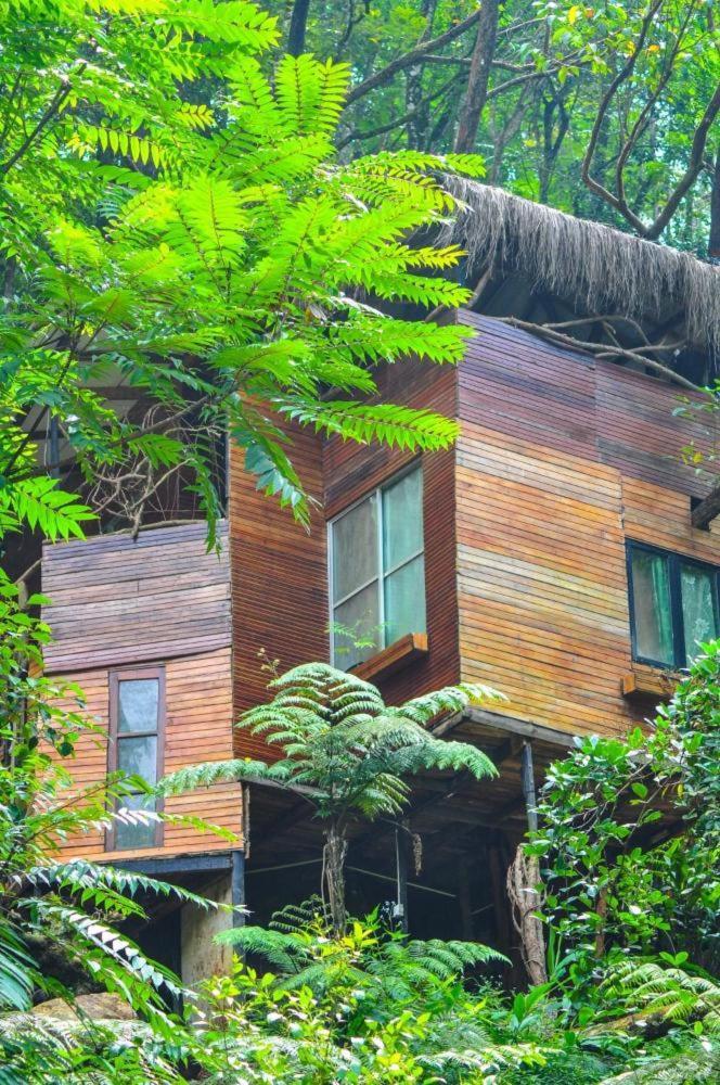 Bed and Breakfast Jungle Tree House Rangala Канди Экстерьер фото