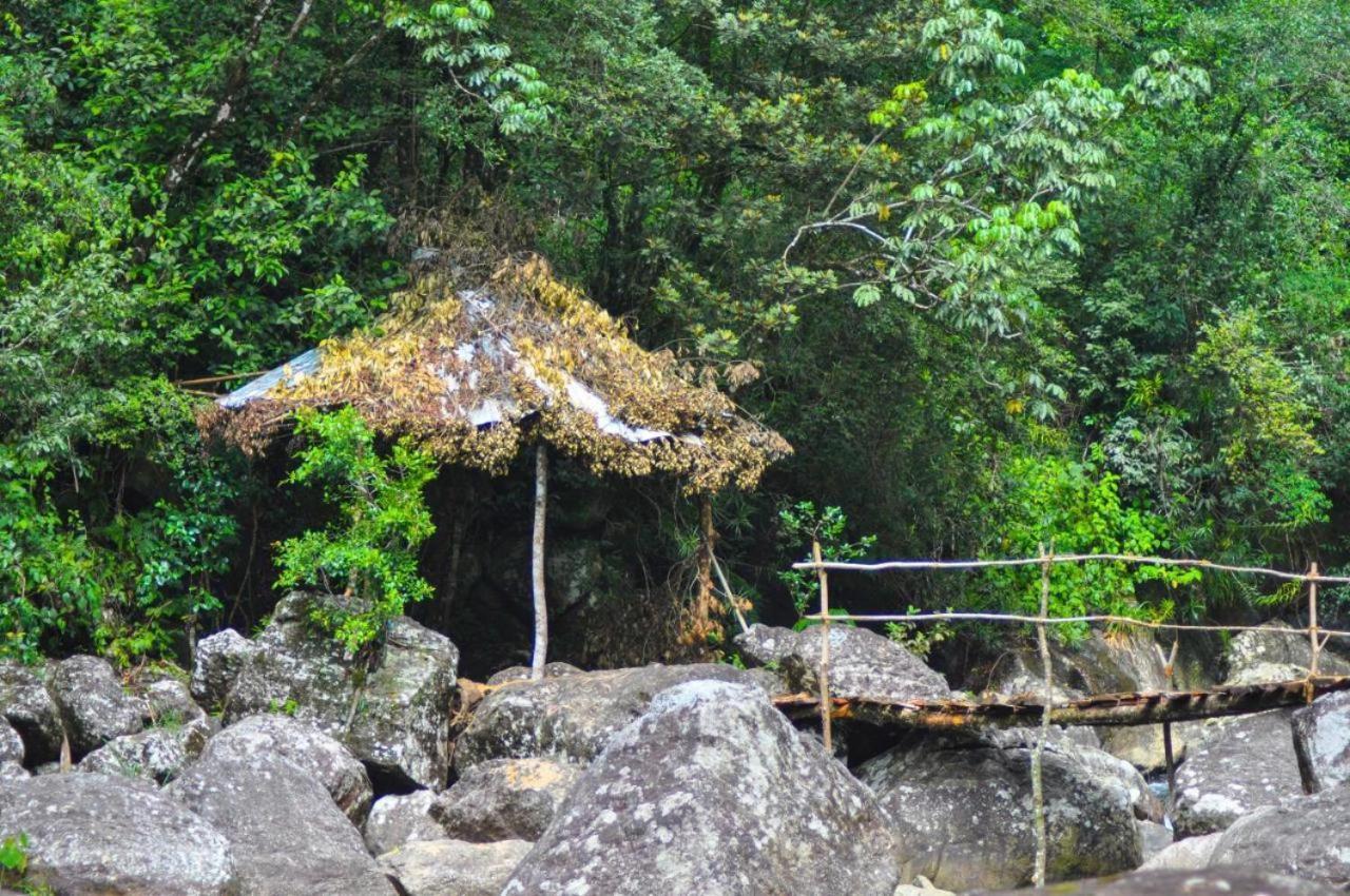 Bed and Breakfast Jungle Tree House Rangala Канди Экстерьер фото